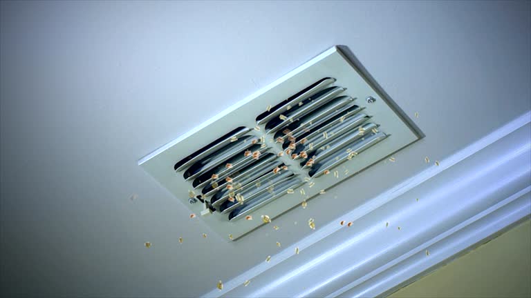 Best Affordable HVAC Duct Cleaning  in Madrid, IA