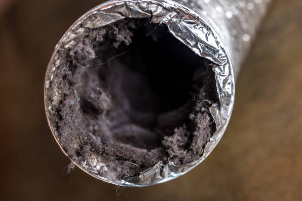 Best Duct Cleaning Specialists  in Madrid, IA