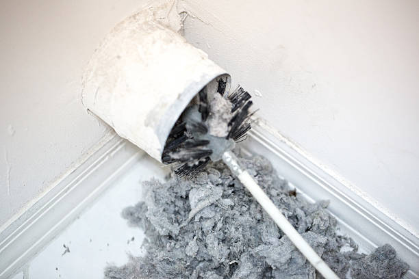Best Air Duct Mold Removal  in Madrid, IA